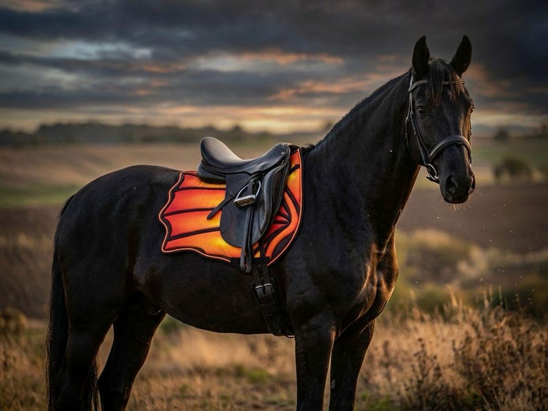 Black horse wearing fire dragon wing saddle pad under a black saddle