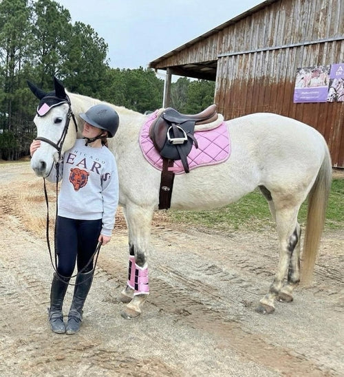 White horse wearing the pink glitter saddle pad, pink ear bonnet and pink brushing boots